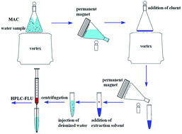 Graphical abstract: A combined technique for the pretreatment of ultra trace bisphenol A in environmental water based on magnetic matrix solid phase extraction assisted dispersive liquid–liquid microextraction
