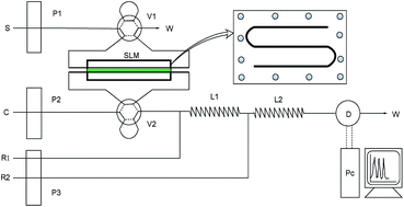 Graphical abstract: Determination of trace mercury(ii) in wastewater using on-line flow injection spectrophotometry coupled with supported liquid membrane enrichment