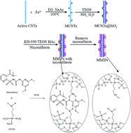 Graphical abstract: Analysis of sulfonylurea herbicides in grain samples using molecularly imprinted polymers on the surface of magnetic carbon nanotubes by extraction coupled with HPLC