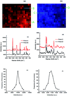 Graphical abstract: Large scale preparation of surface enhanced Raman spectroscopy substrates based on silver nanowires for trace chemical detection