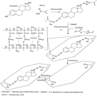 Graphical abstract: A novel electrochemical sensor for 17β-estradiol from molecularly imprinted polymeric microspheres and multi-walled carbon nanotubes grafted with gold nanoparticles