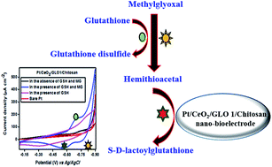 Graphical abstract: Estimation of methylglyoxal in cow milk – an accurate electrochemical response time based approach