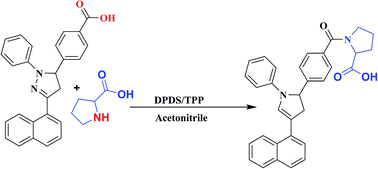 Graphical abstract: 3-Naphthyl-1-phenyl-5-(4-carboxyphenyl)-2-pyrazoline – a pyrazoline based heterocyclic dye as a fluorescent label for biomolecules containing an amino group and its evaluation using HPLC