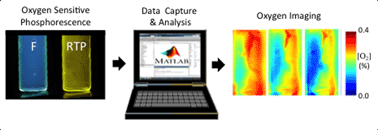 Graphical abstract: Difluoroboron β-diketonate materials with long-lived phosphorescence enable lifetime based oxygen imaging with a portable cost effective camera