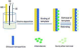 Graphical abstract: A biopolymeric nano-receptor for sensitive and selective recognition of albendazole