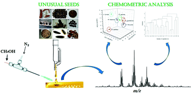 Graphical abstract: Immediate differentiation of unusual seed oils by easy ambient sonic-spray ionization mass spectrometry and chemometric analysis