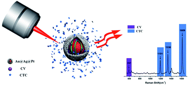 Graphical abstract: Core–shell Fructus Broussonetia-like Au@Ag@Pt nanoparticles as highly efficient peroxidase mimetics for supersensitive resonance-enhanced Raman sensing