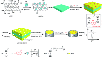 Graphical abstract: An electrochemical sensor for 1-naphthylamine based on a novel composite of cyclodextrin-graphene and molecularly imprinted poly(vinylferrocene)