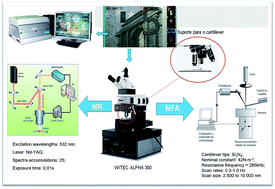 Graphical abstract: Documentoscopy by atomic force microscopy (AFM) coupled with Raman microspectroscopy: applications in banknote and driver license analyses