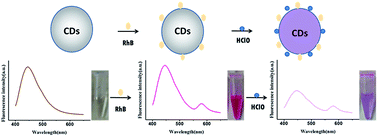 Graphical abstract: A carbon dot-based hybrid fluorescent sensor for detecting free chlorine in water medium