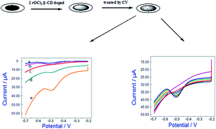 Graphical abstract: A novel strategy of an electrochemically treated ZrOCl2 and β-cyclodextrin doped carbon paste electrode for sensitive determination of ligustrazine