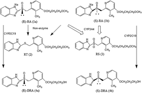 Graphical abstract: Simultaneous determination of rabeprazole enantiomers and their four metabolites after intravenous administration in beagle dogs by a stereoselective HPLC-MS/MS method and its application in pharmacokinetic studies