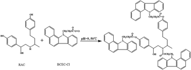 Graphical abstract: Highly efficient and sensitive screening of ractopamine in foodstuffs by HPLC-FLD using fluorescent labeling and ultrasonic-assisted dispersive liquid–liquid microextraction