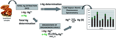 Graphical abstract: Non-chromatographic speciation of mercury in mushrooms