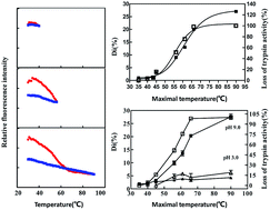 Graphical abstract: Measurement of the onset temperature of irreversible inactivation of proteins using FITC as a fluorescent reporter