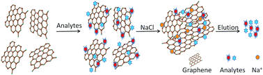 Graphical abstract: A salt-assisted graphene oxide aggregation method for the determination of dimethylamine and trimethylamine by ion chromatography with conductivity detection