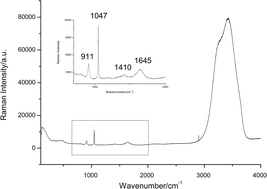 Graphical abstract: A quantitative method study on pertechnetate in aqueous solution using Raman spectroscopy