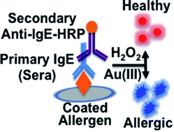 Graphical abstract: Gold nanoparticle-based novel visual diagnostic method for the detection of specific IgE to test for food allergies