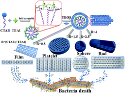 Graphical abstract: Shape control of mesoporous silica nanomaterials templated with dual cationic surfactants and their antibacterial activities