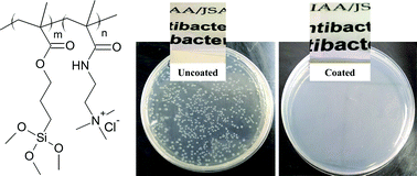 Graphical abstract: High durability and low toxicity antimicrobial coatings fabricated by quaternary ammonium silane copolymers