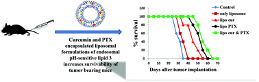 Graphical abstract: Delivering anti-cancer drugs with endosomal pH-sensitive anti-cancer liposomes