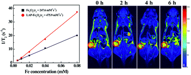 Graphical abstract: LAPONITE®-stabilized iron oxide nanoparticles for in vivo MR imaging of tumors