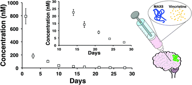 Graphical abstract: Sustained release of active chemotherapeutics from injectable-solid β-hairpin peptide hydrogel