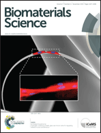 Graphical abstract: Inside front cover