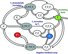 Graphical abstract: Robustness of synthetic circadian clocks to multiple environmental changes