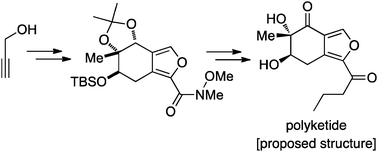 Graphical abstract: Total synthesis of the proposed structure of a polyketide from Phialomyces macrosporus