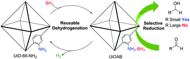 Graphical abstract: A rationally designed amino-borane complex in a metal organic framework: a novel reusable hydrogen storage and size-selective reduction material