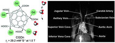 Graphical abstract: A multiple gadolinium complex decorated fullerene as a highly sensitive T1 contrast agent