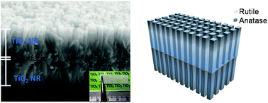 Graphical abstract: Transparent free-standing film of 1-D rutile/anatase TiO2 nanorod arrays by a one-step hydrothermal process