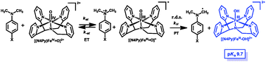 Graphical abstract: Isotope effect profiles in the N-demethylation of N,N-dimethylanilines: a key to determine the pKa of nonheme Fe(iii)–OH complexes