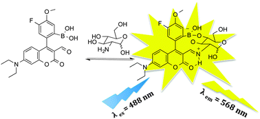 Graphical abstract: A highly selective fluorescent sensor for glucosamine