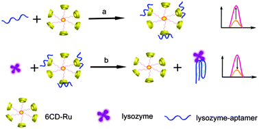 Graphical abstract: Sensitive fluorescence detection of lysozyme using a tris(bipyridine)ruthenium(ii) complex containing multiple cyclodextrins