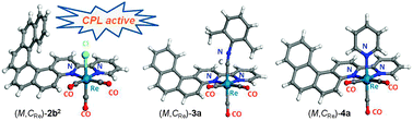 Graphical abstract: enantio-Enriched CPL-active helicene–bipyridine–rhenium complexes