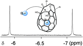 Graphical abstract: Synthesis and characterisation of an open-cage fullerene encapsulating hydrogen fluoride