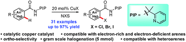 Graphical abstract: Copper-catalyzed ortho-halogenation of arenes and heteroarenes directed by a removable auxiliary