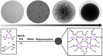 Graphical abstract: Water-triggered self-assembly polycondensation for the one-pot synthesis of cyclomatrix polyphosphazene nanoparticles from amino acid ester