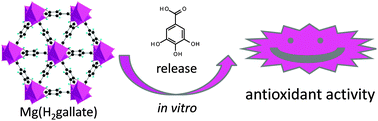 Graphical abstract: A biocompatible porous Mg-gallate metal–organic framework as an antioxidant carrier