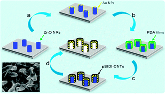 Graphical abstract: Preparation of catalytic films of the Au nanoparticle–carbon composite tubular arrays