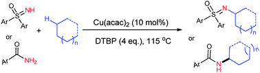 Graphical abstract: Copper-catalyzed oxidative C(sp3)–H/N–H coupling of sulfoximines and amides with simple alkanes via a radical process