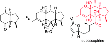 Graphical abstract: Stereoselective synthesis of a highly oxygenated decahydrocyclopenta[g]chromene derivative: the common tricyclic framework of leucosceptrine and leucosesterterpenone