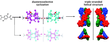 Graphical abstract: Diastereoselective cyclization of an aminobenzoic acid derivative and chiroptical properties of triple-stranded helical bis(phenylethynyl)benzene