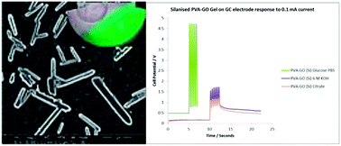 Graphical abstract: Graphene oxide nanocapsules within silanized hydrogels suitable for electrochemical pseudocapacitors
