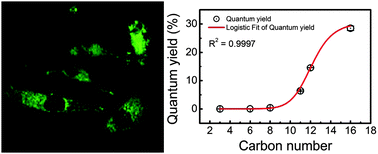 Graphical abstract: Optimization of gold nanoparticle photoluminescence by alkanethiolation