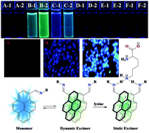 Graphical abstract: Ratiometric sensing of lysine through the formation of the pyrene excimer: experimental and computational studies