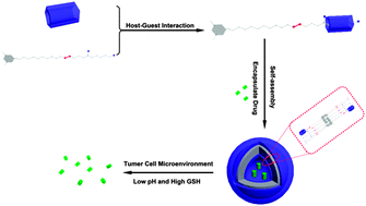 Graphical abstract: GSH- and pH-responsive drug delivery system constructed by water-soluble pillar[5]arene and lysine derivative for controllable drug release