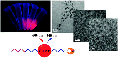 Graphical abstract: Enzymatic polymerization of poly(thymine) for the synthesis of copper nanoparticles with tunable size and their application in enzyme sensing